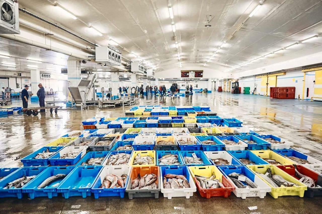 Guilvinec Au Bout Du Port 아파트 외부 사진